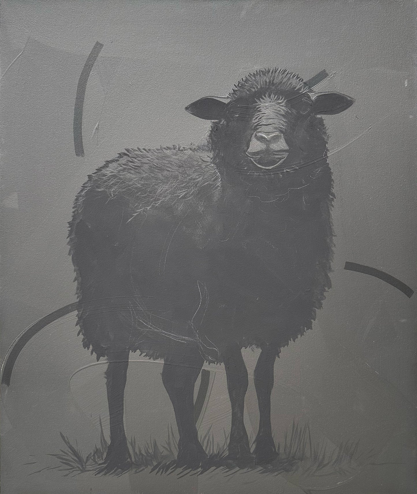 Black Sheep