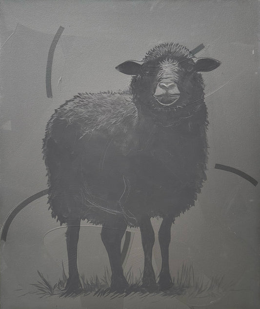 Black Sheep